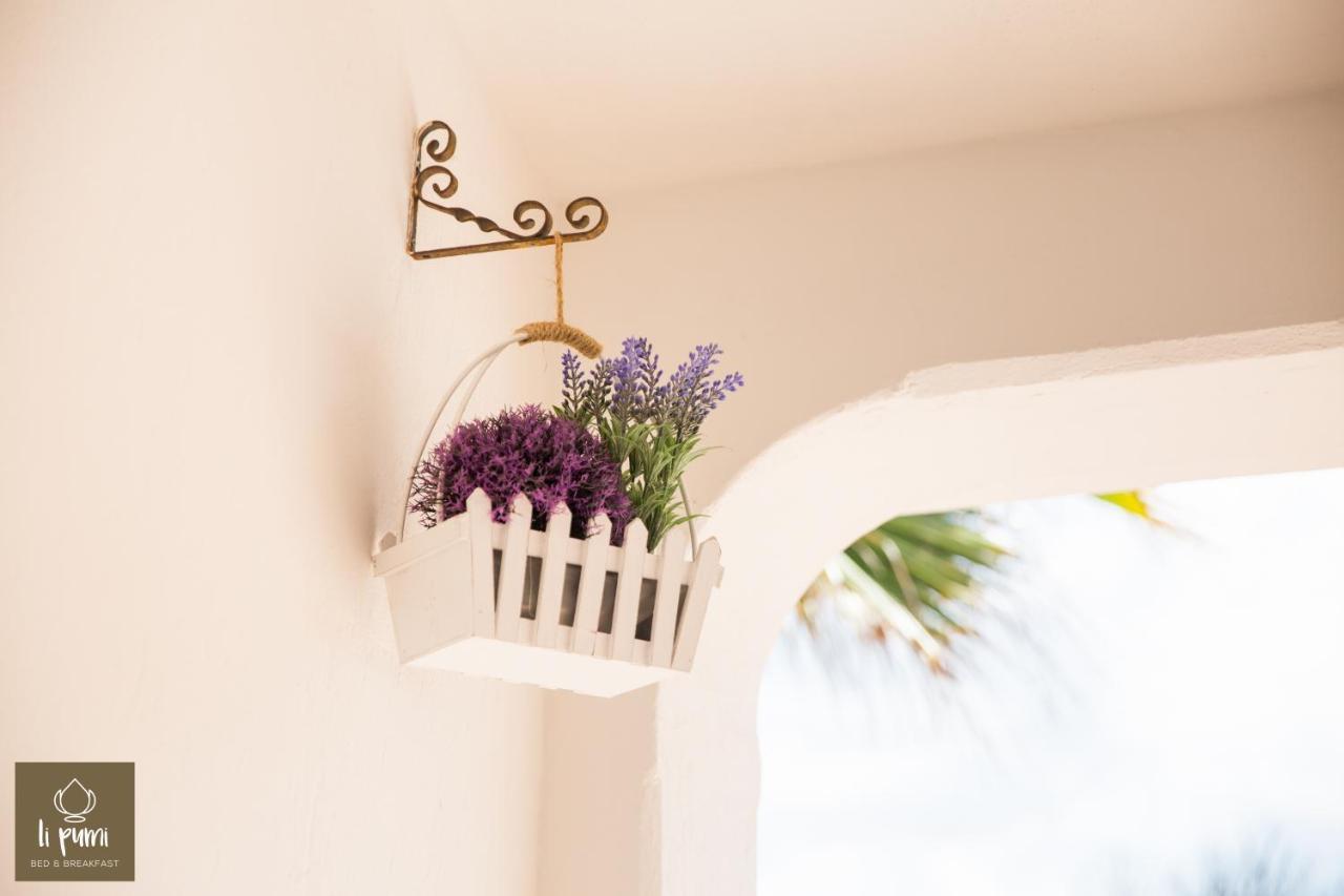 Li Pumi Bed & Breakfast Alliste Exterior photo